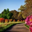 In het buitengebied je tuin onderhouden; dat gaat makkelijk met deze tips!